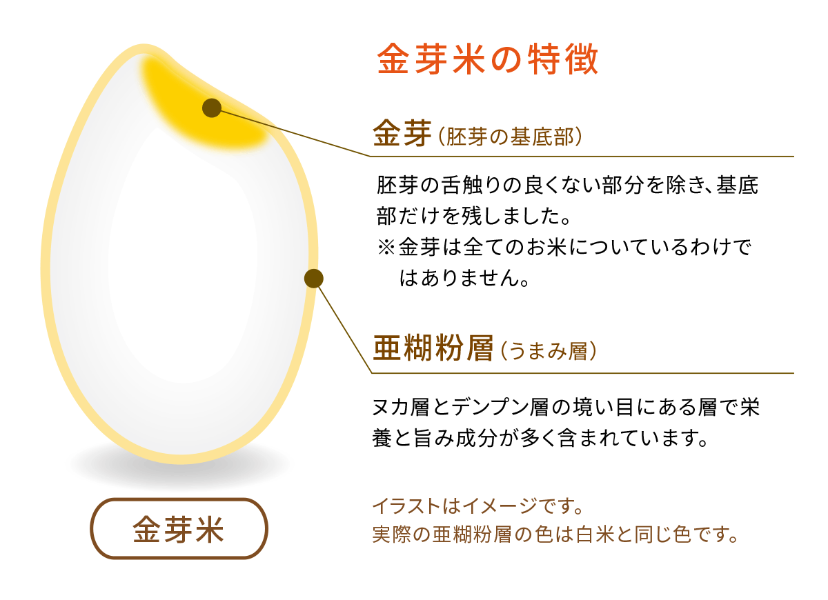 金芽米の特徴