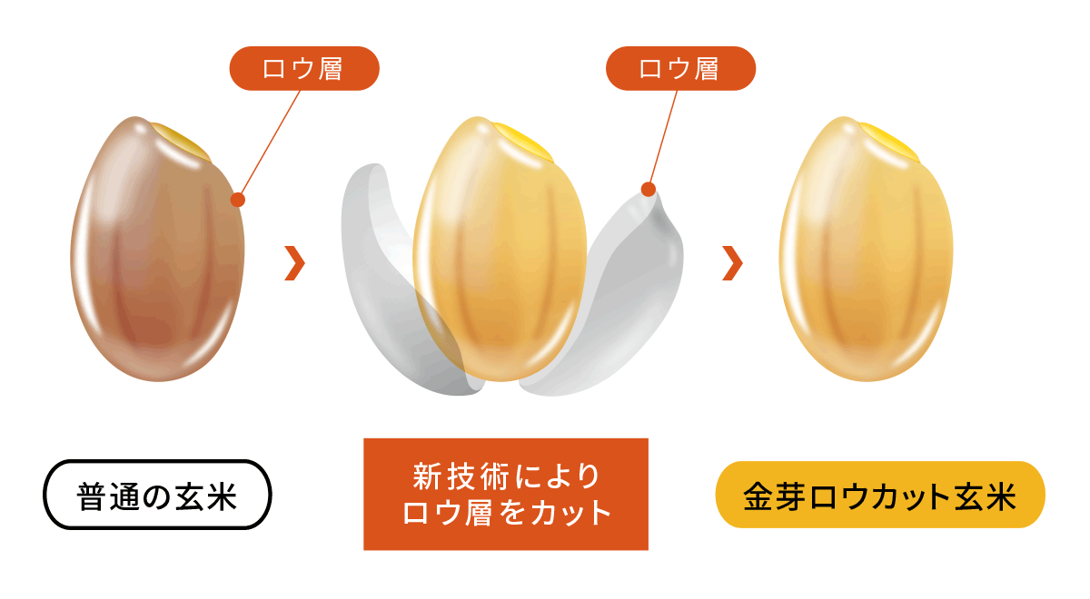 金芽ロウカット玄米のできかた